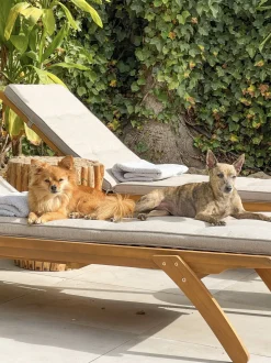 Beliani Aurinkotuoli Ruskeanharmaalla Pehmusteella Cesana Online