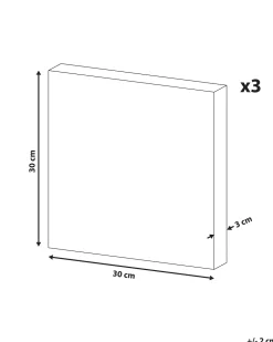 Beliani Canvas-Taulu Monivarinen 30 X 30 Cm 3 Kpl Timia Store
