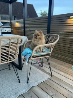 Beliani 2-Istuttava Bistrosetti Polyrottinki Luonnonvari Tropea Ii Flash Sale