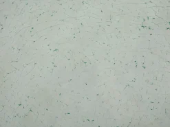 Beliani 6-Istuttava Ulkoruokailuryhma 3-Osainen Lasitaso Tekstiilituolit Harmaa Grosseto Store