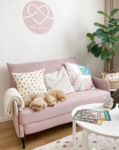 Beliani 2-Istuttava Vuodesohva Kangas Vaaleanpunainen Belfast Clearance