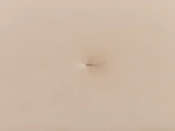 Beliani 3-Istuttava Vuodesohva Sametti Beige Lucan Flash Sale