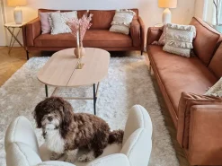 Beliani Koristetyyny Beige Kirjailtu 45 X 45 Cm 2 Kpl Villur Fashion