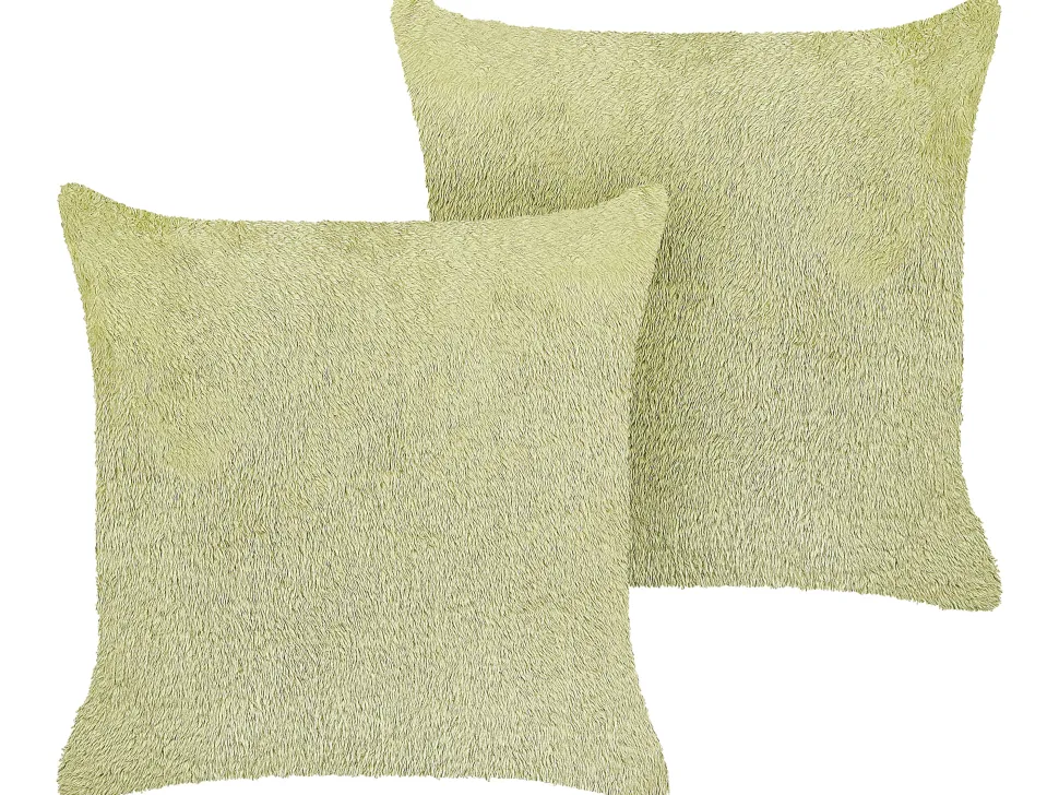 Beliani Koristetyyny Kangas Vaaleanvihrea 45 X 45 Cm 2 Kpl Pilea Outlet