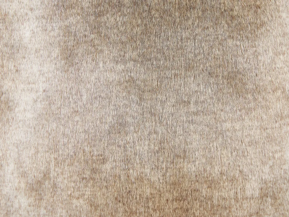 Beliani Koristetyyny Keinoturkis Vaaleanruskea 45 X 45 Cm 2 Kpl Hordeum Outlet