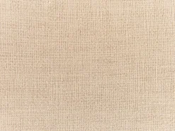 Beliani Koristetyyny 2Kpl 45 X 45 Cm Beige Guzmania Fashion