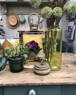 Beliani Koristetyyny Puuvilla Monivarinen Kirjailtu 40 X 60 Cm Danapur Flash Sale