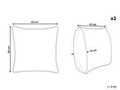 Beliani Koristetyyny Sametti Musta/Kulta 45 X 45 Cm 2 Kpl Ursinia Shop