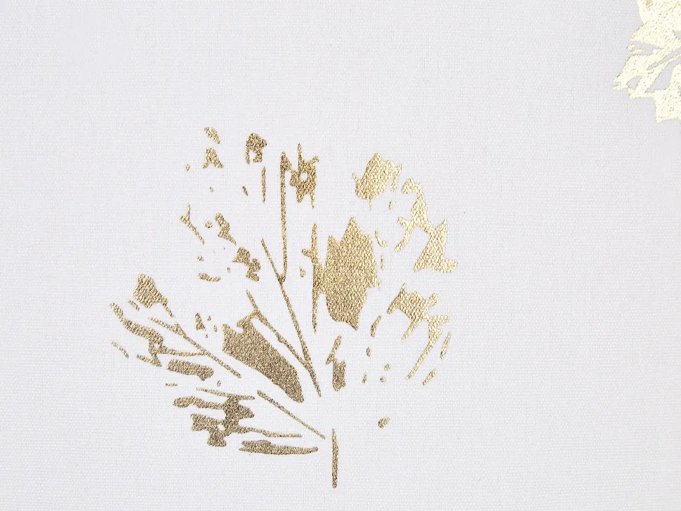 Beliani Koristetyyny Sametti Valkoinen 45 X 45 Cm 2 Kpl Goldenrod Store