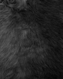 Beliani Lampaantalja Musta Uluru Best Sale