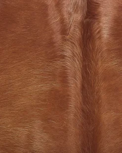 Beliani Lehmantalja Kullanruskea 3-4 M² Nasqu Store