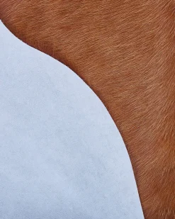 Beliani Lehmantalja Kullanruskea 3-4 M² Nasqu Store