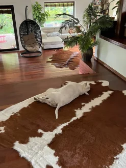 Beliani Lehmantalja Valkoruskea 3-4 M² Nasqu Discount