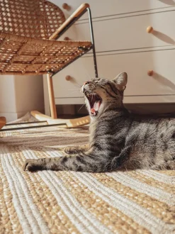 Beliani Matto Juutti Beige 140 X 200 Cm Pirli New