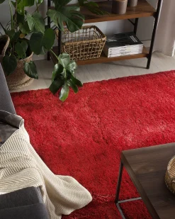 Beliani Matto Kangas Punainen 160 X 230 Cm Evren Cheap