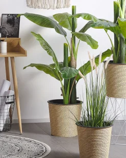 Beliani Matto Puuvilla Kermanvalkoinen/Musta O 120 Cm Hizan Online