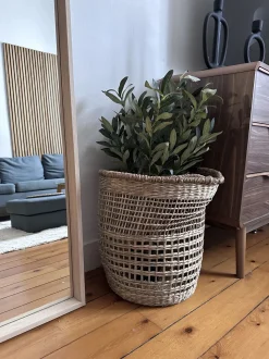 Beliani Meriruohokori Luonnonvari 39 Cm Albacore Cheap