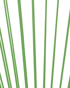 Beliani Narutuoli Polyrottinki Vihrea Acapulco Ii Cheap