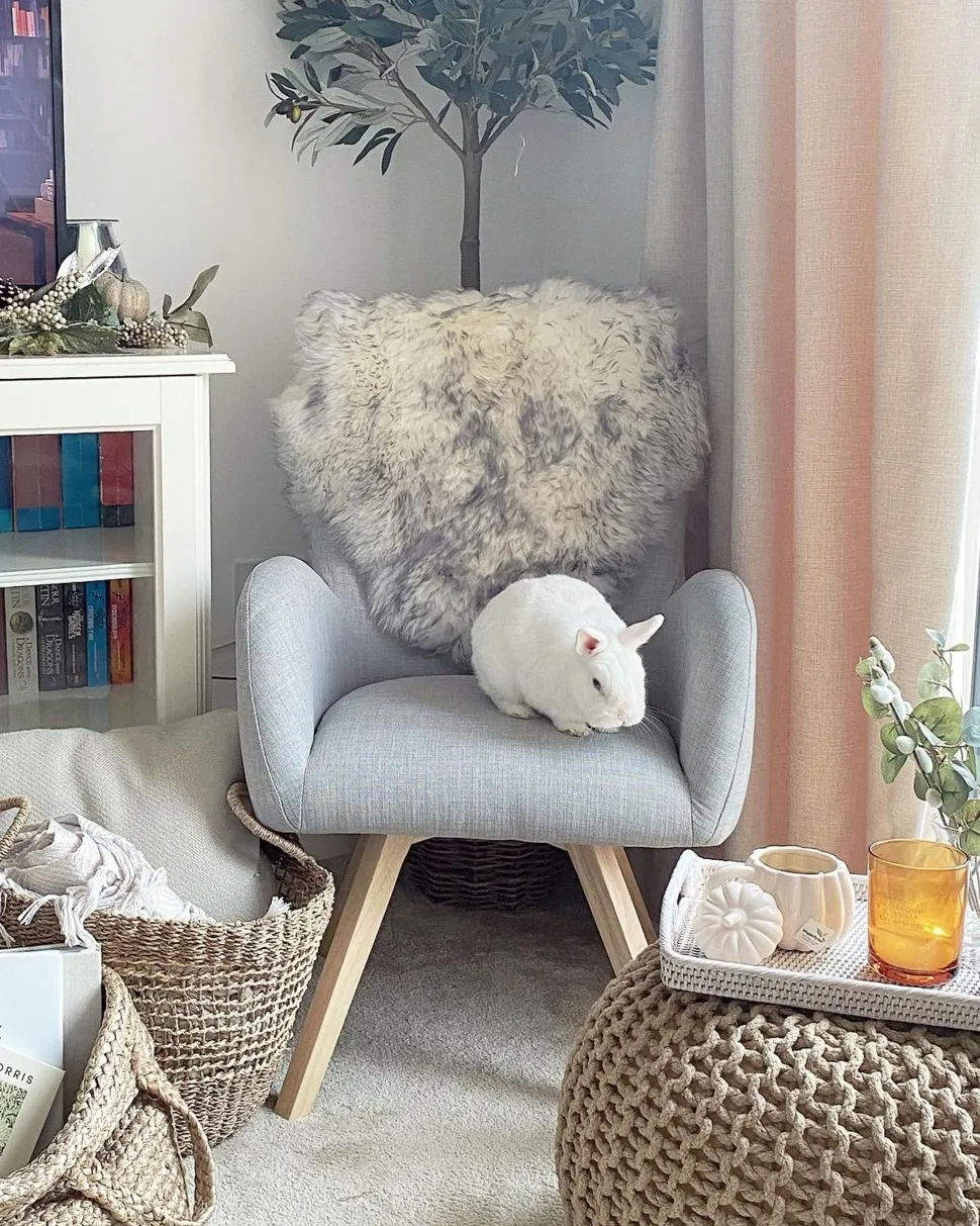 Beliani Nojatuoli Kangas Vaaleanharmaa Bjarn Outlet