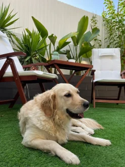 Beliani Poyta Ja 2 Tuolia Luonnonvalkoisilla Tyynyilla Toscana Sale