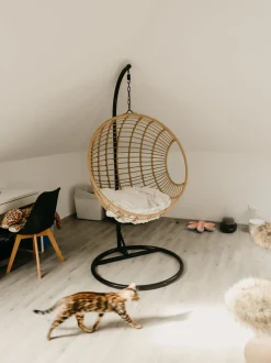 Beliani Riipputuoli Jalustalla Polyrottinki Luonnonvari Aspio Flash Sale