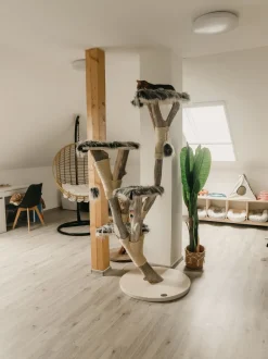 Beliani Riipputuoli Jalustalla Polyrottinki Luonnonvari Aspio Flash Sale