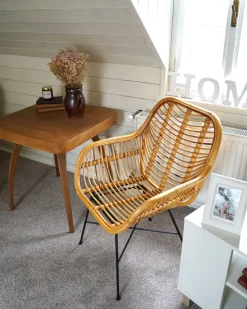 Beliani Rottinkituoli Luonnonvari Canora Best