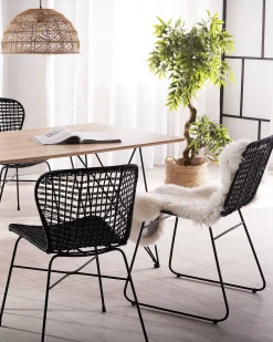 Beliani Rottinkituoli Musta 2 Kpl Elfros Best