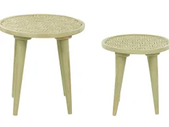 Beliani Sivupoytasetti Mangopuu Vaaleanvihrea 2 Kpl Maharo Cheap