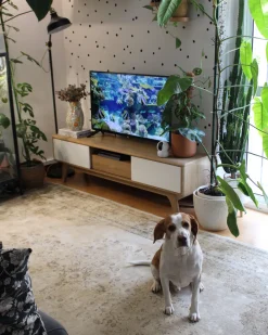 Beliani Tv-Taso 2 Kaappia Laatikko Vaalea Puu/Valkoinen Eerie Store